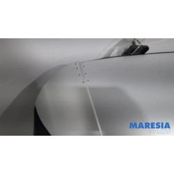 Citroen - C4 Picasso - Tailgate
