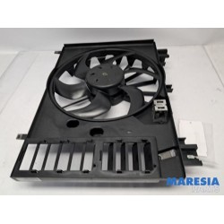 Citroen - C5 - Kühlgebläse Motor
