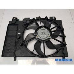Citroen - C5 - Kühlgebläse Motor