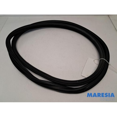 Citroen - C4 - Rear door seal 4-door, right