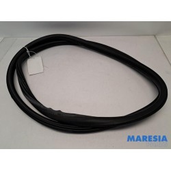 Citroen - C4 - Front door seal 4-door, right