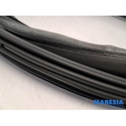 Citroen - C4 - Front door seal 4-door, right