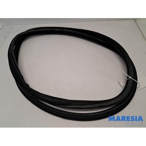 Citroen - C4 - Front door seal 4-door, right