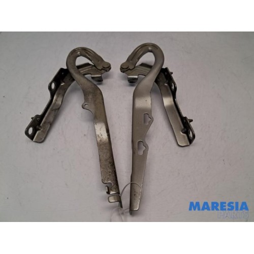 Peugeot - 207 - Bonnet Hinge