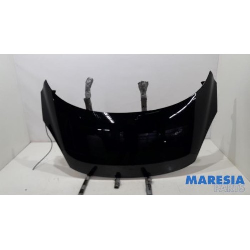 Renault - Scenic - Bonnet