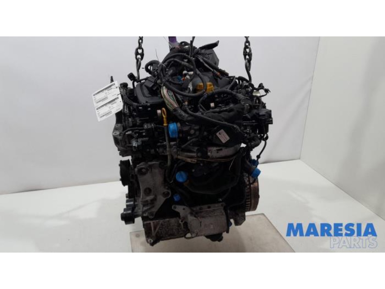 Renault - Scenic - Engine