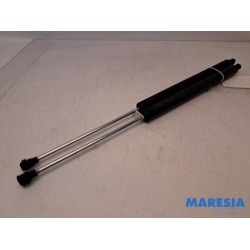 Citroen - Berlingo - Set of tailgate gas struts