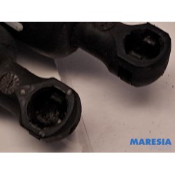 Citroen - Berlingo - Set of tailgate gas struts