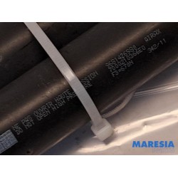 Citroen - Berlingo - Set of tailgate gas struts