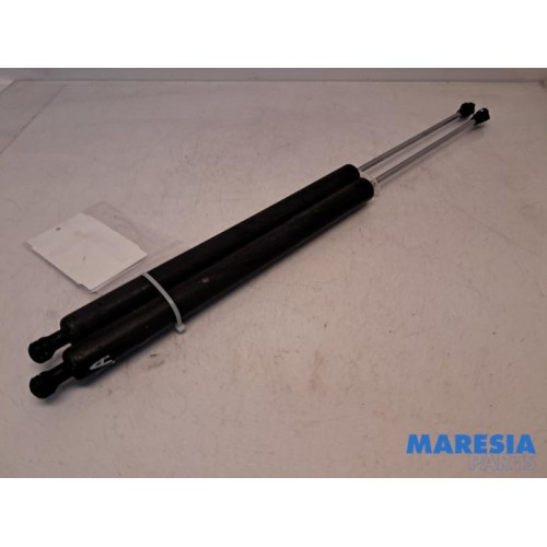 Citroen - Berlingo - Set of tailgate gas struts