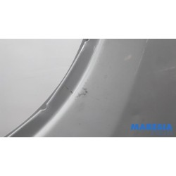 Fiat - Ducato - Tür 2-türig links