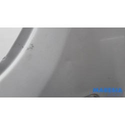 Fiat - Ducato - Tür 2-türig links