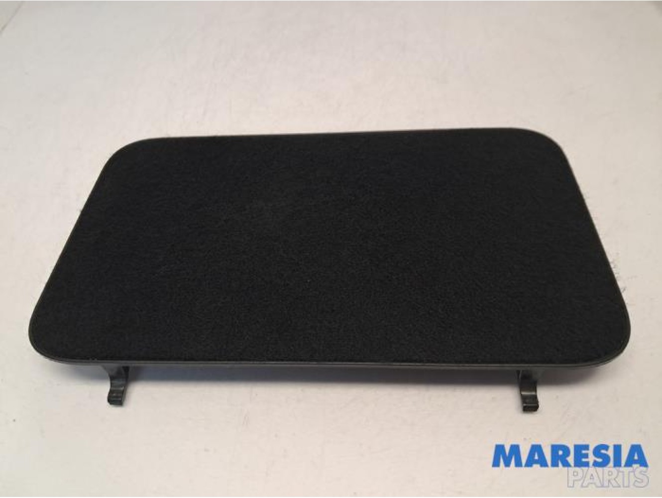 Renault - Scenic - Carpet