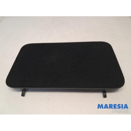 Renault - Scenic - Carpet
