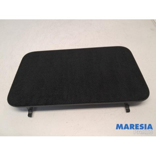 Renault - Scenic - Carpet
