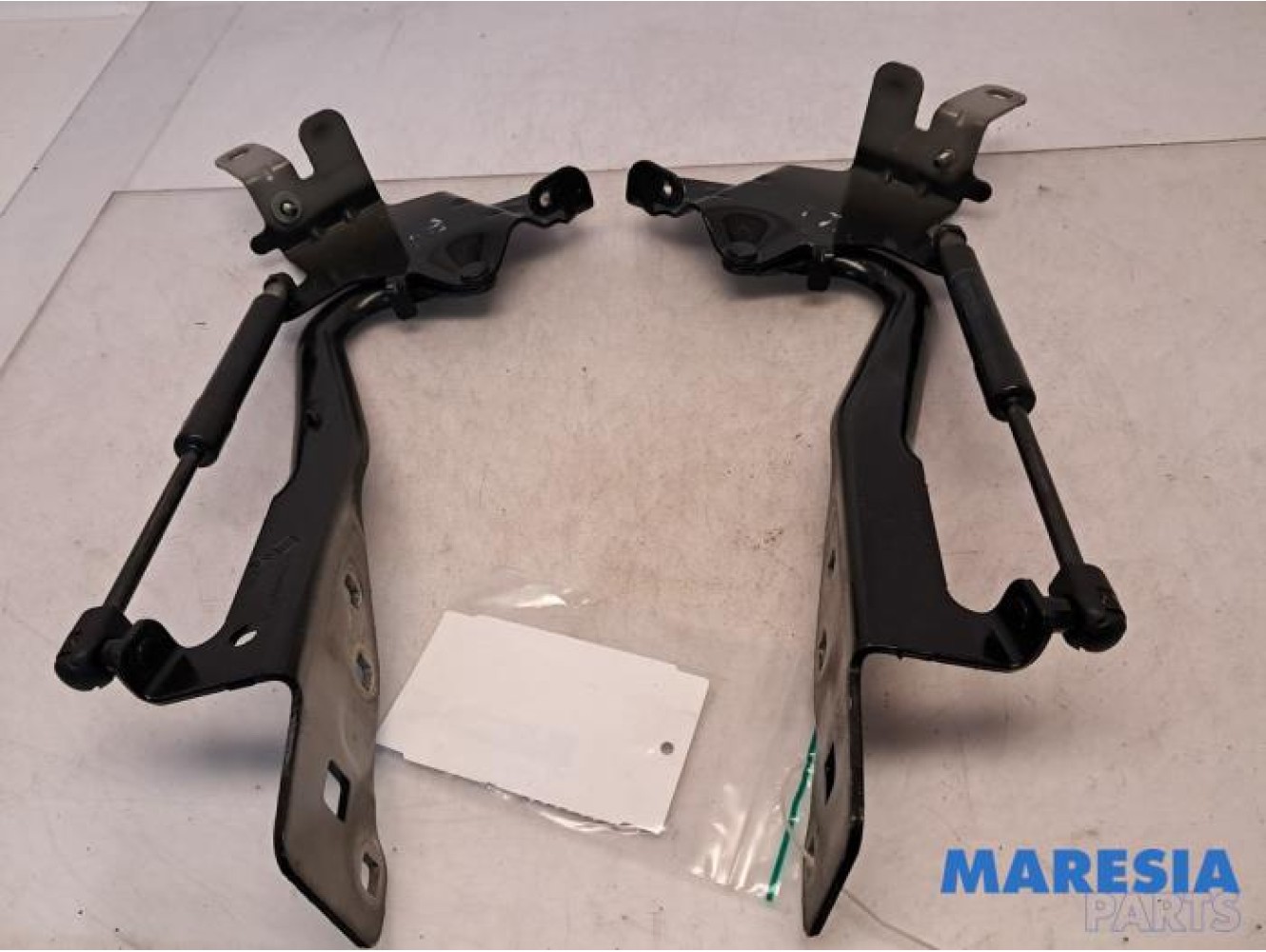 Renault - Scenic - Motorhaube Scharnier