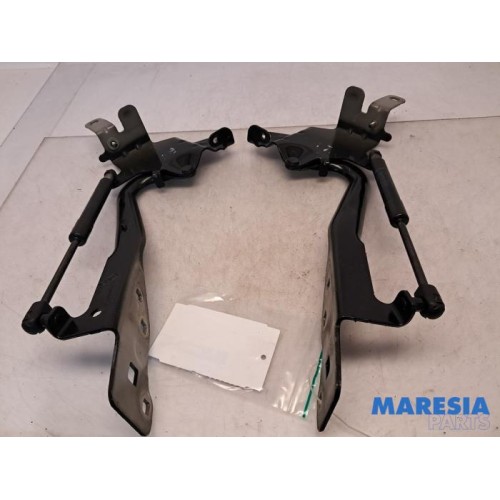 Renault - Scenic - Bonnet Hinge