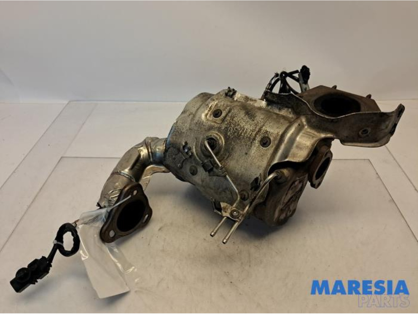 Renault - Scenic - Particulate filter