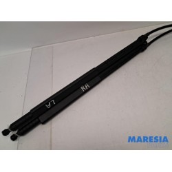 Peugeot - 508 - Set of tailgate gas struts