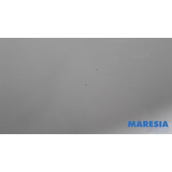 Renault - Trafic - Portier 2Deurs rechts