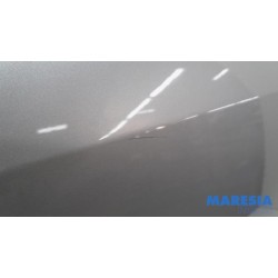 Renault - Clio - Tür 4-türig rechts hinten