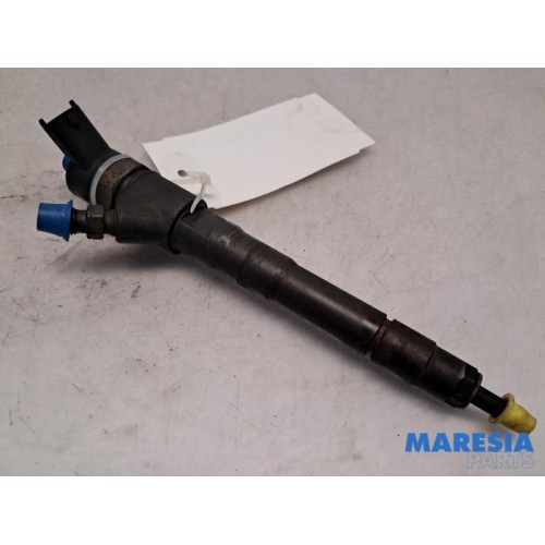 Fiat - Ducato - Injector (diesel)