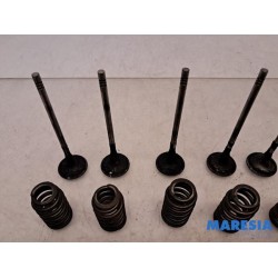 Peugeot - 308 - Induction valve