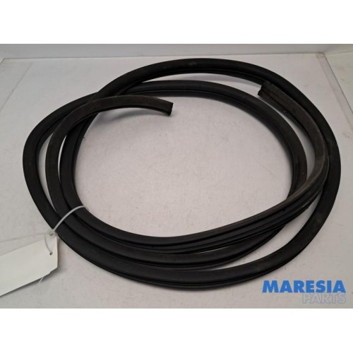 Renault - Trafic - Door seal 2-door, left