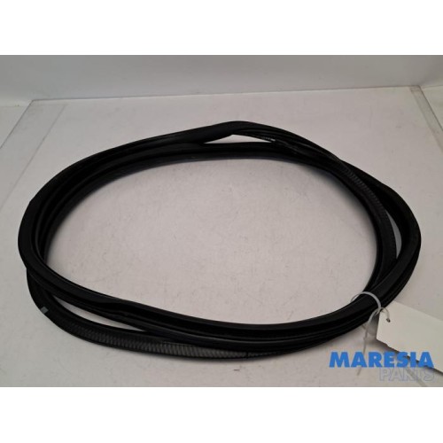 Citroen - C3 - Rear door seal 4-door, right