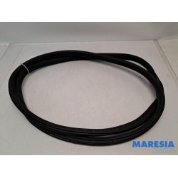 Citroen - C3 - Front door seal 4-door, left
