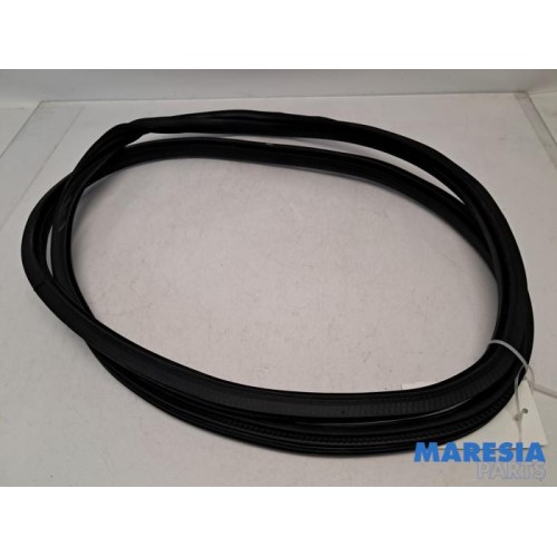 Citroen - C3 - Front door seal 4-door, left