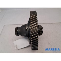 Fiat - Talento - Differential vorne