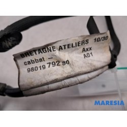 Peugeot - 208 - Accu sensor