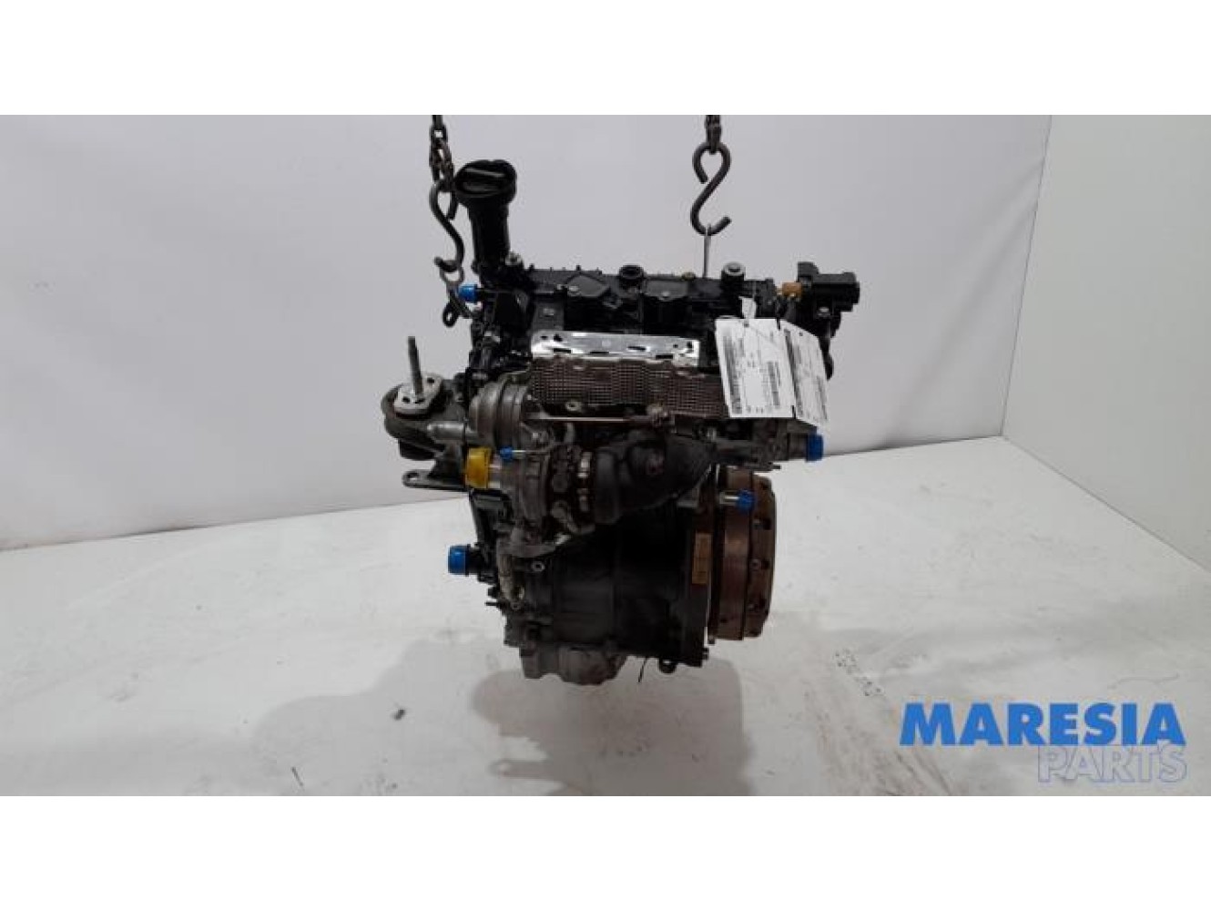 Fiat - 500 - Motor