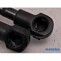 Fiat - 500 - Set of tailgate gas struts