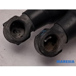 Fiat - 500 - Set of tailgate gas struts