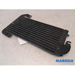 Opel - Vivaro - Refroidisseur de carburant