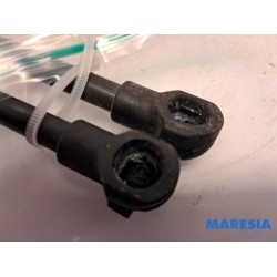 Fiat - 500 - Set Gasdämpfer Heckklappe