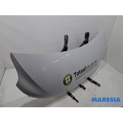 Renault - Master - Bonnet