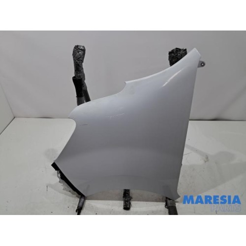 Renault - Master - Front wing, left