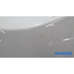 Renault - Master - Tür 2-türig rechts