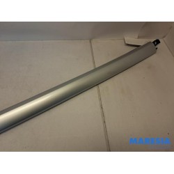 Citroen - C4 Grand Picasso - Dachreling links
