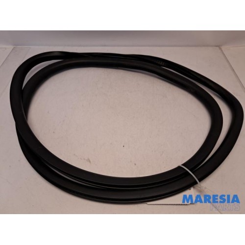 Citroen - C4 Grand Picasso - Rear door seal 4-door, left