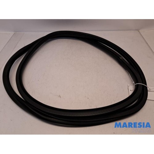 Citroen - C4 Grand Picasso - Rear door seal 4-door, right