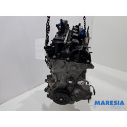 Alfa Romeo - Giulia - Engine