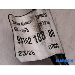 Citroen - C4 Grand Picasso - Battery sensor
