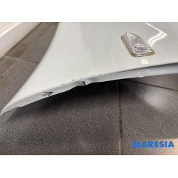 Dacia - Sandero - Kotflügel rechts vorne