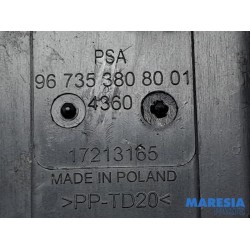 Peugeot - 308 - Filtre carbone