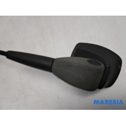 Dacia - Sandero - Antenna