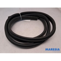 Dacia - Sandero - Portierrubber 4Deurs links-achter